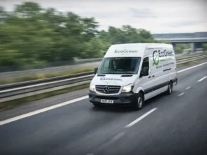 EcoGreen Movers professional moving services