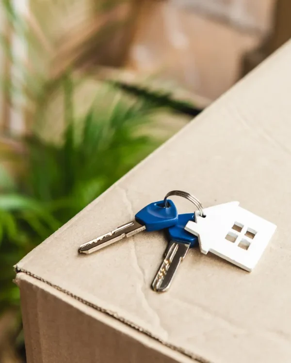 EcoGreen Movers professional moving services
